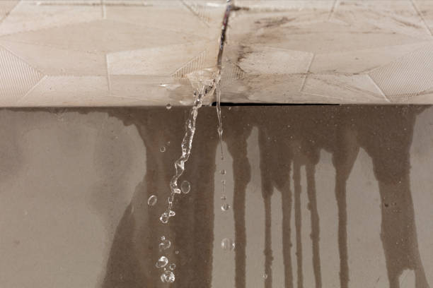 Professional Burst Pipe Cleanup technician working in Gleason, TN